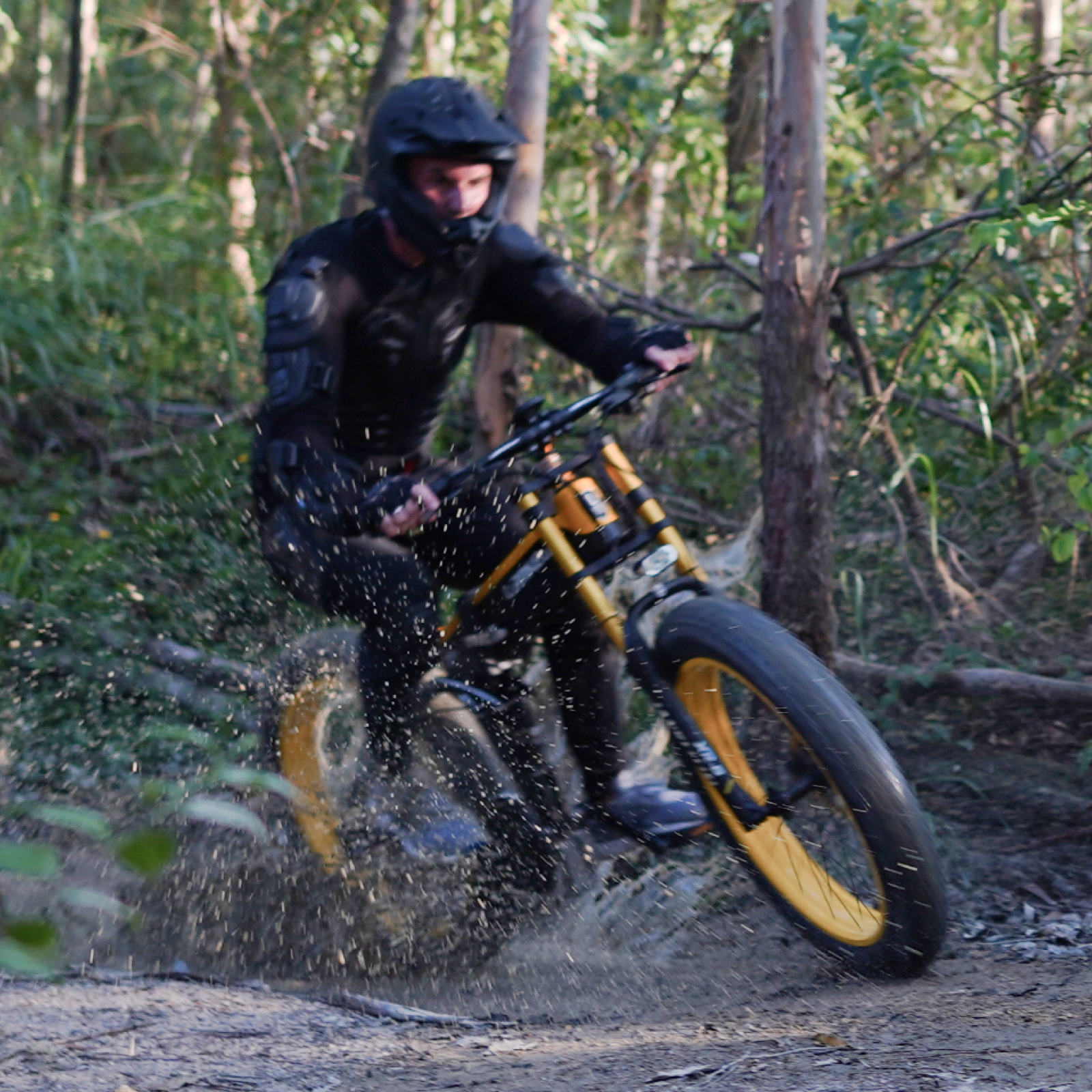 【Förhandsförsäljning】LANKELEISI XT750PLUS